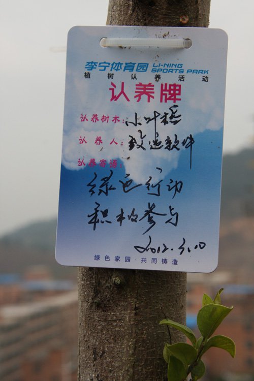 致远软件十年庆 广西区种树送祝福